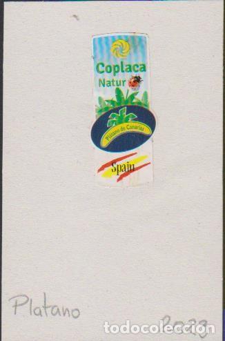 Collection stickers: pegatina fruta PL&Aacute;TANO CANARIAS COPLACA NATUR SPAIN adhesivo adhesiu enganxina fruit etiqueta