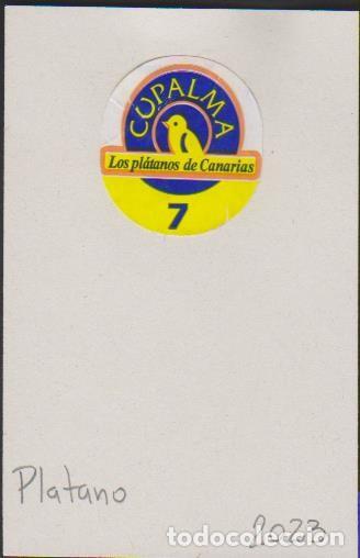 Collection stickers: pegatina fruta PL&Aacute;TANO CANARIAS CUPALMA adhesivo adhesiu enganxina fruit etiqueta