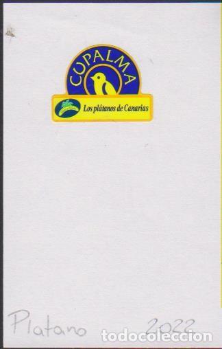 Collection stickers: pegatina fruta PL&Aacute;TANO CANARIAS CUPALMA adhesivo adhesiu enganxina fruit etiqueta