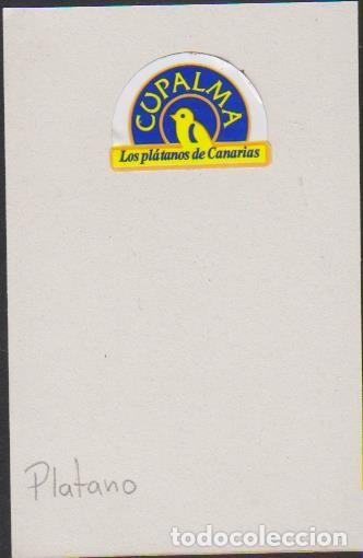 Collection stickers: pegatina fruta PL&Aacute;TANO CANARIAS CUPALMA adhesivo adhesiu enganxina fruit etiqueta