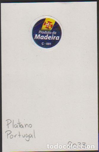 Collection stickers: pegatina fruta PL&Aacute;TANO MADEIRA PORTUGAL adhesivo adhesiu enganxina fruit etiqueta