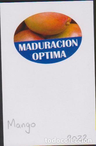 Collection stickers: pegatina fruta MANGO MADURACION OPTIMA adhesivo adhesiu enganxina fruit etiqueta