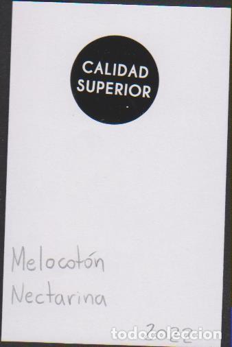 Collection stickers: pegatina fruta MELOCOT&Oacute;N NECTARINA CALIDAD SUPERIOR adhesivo adhesiu enganxina fruit etiqueta