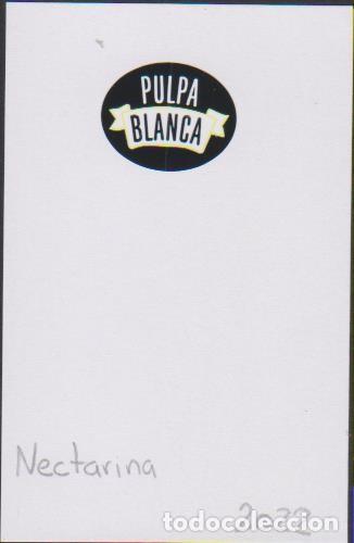 Collection stickers: pegatina fruta NECTARINA PULPA BLANCA adhesivo adhesiu enganxina fruit etiqueta