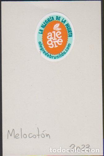 Collection stickers: pegatina fruta MELOCOT&Oacute;N ALEGRE adhesivo adhesiu enganxina fruit etiqueta