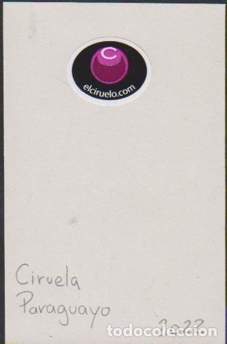 Collection stickers: pegatina fruta PARAGUAYO CIRUELA EL CIRUELO adhesivo adhesiu enganxina fruit etiqueta