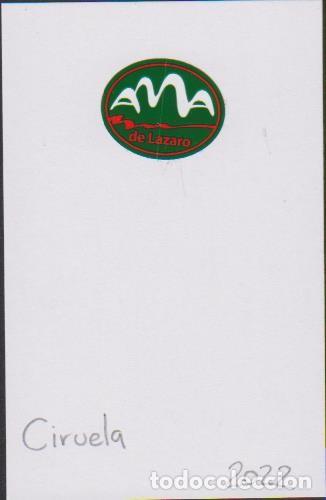 Collection stickers: pegatina fruta CIRUELA AMA DE LAZARO adhesivo adhesiu enganxina fruit etiqueta