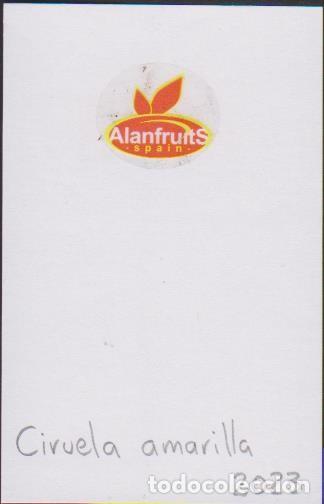 Collection stickers: pegatina fruta CIRUELA ALANFRUIT SPAIN adhesivo adhesiu enganxina fruit etiqueta