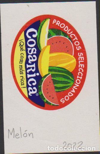 Autocollants de collection: pegatina fruta MEL&Oacute;N COSARICA adhesivo adhesiu enganxina fruit etiqueta