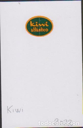 Pegatinas de colecci&oacute;n: pegatina fruta KIWI ATLANTICO adhesivo adhesiu enganxina fruit etiqueta