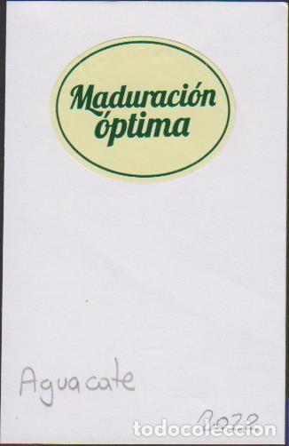 Pegatinas de colecci&oacute;n: pegatina fruta AGUACATE MADURACI&Oacute;N OPTIMA adhesivo adhesiu enganxina fruit etiqueta