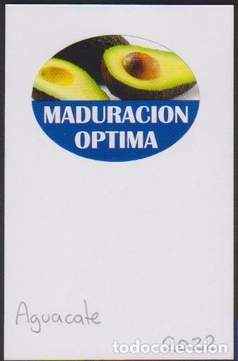 Pegatinas de colecci&oacute;n: pegatina fruta AGUACATE MADURACION OPTIMA adhesivo adhesiu enganxina fruit etiqueta