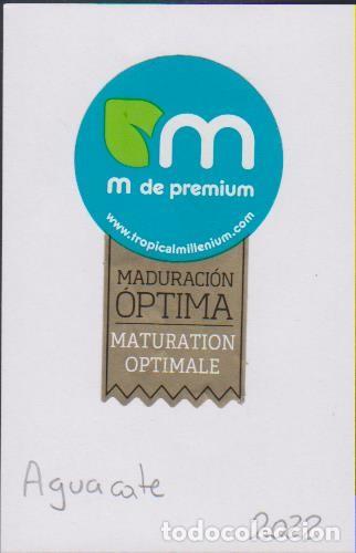 Autocollants de collection: pegatina fruta AGUACATE M DE PREMIUM adhesivo adhesiu enganxina fruit etiqueta
