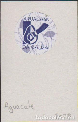 Collection stickers: pegatina fruta AGUACATE DA GALIZA adhesivo adhesiu enganxina fruit etiqueta