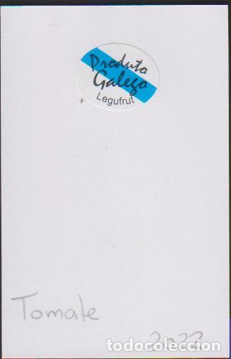Autocollants de collection: pegatina fruta TOMATE PRODUCTO GALEGO LEGUFRUT adhesivo adhesiu enganxina fruit etiqueta