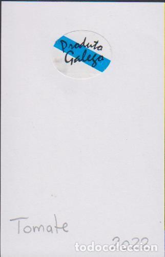 Collection stickers: pegatina fruta TOMATE PRODUCTO GALEGO adhesivo adhesiu enganxina fruit etiqueta