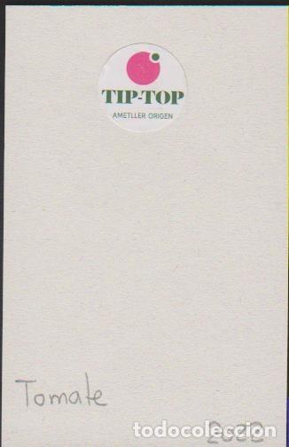 Collection stickers: pegatina fruta TOMATE TIP TOP AMETILLER ORIGEN adhesivo adhesiu enganxina fruit etiqueta