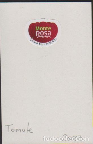 Collection stickers: pegatina fruta TOMATE MONTE ROSA adhesivo adhesiu enganxina fruit etiqueta