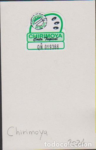 Collection stickers: pegatina fruta CHIRIMOYA COSTA TROPICAL adhesivo adhesiu enganxina fruit etiqueta