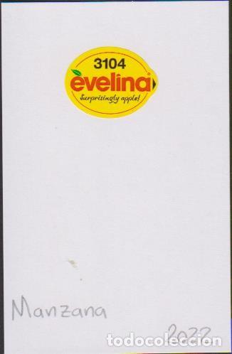 Sammlung von Aufklebern: pegatina fruta NANZANA EVELINA adhesivo adhesiu enganxina fruit etiqueta