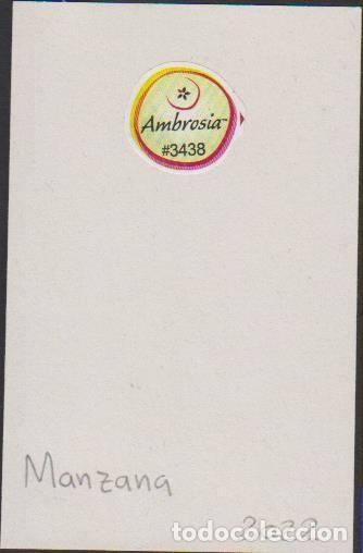 Sammlung von Aufklebern: pegatina fruta NANZANA AMBROSIA adhesivo adhesiu enganxina fruit etiqueta