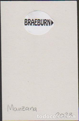 Sammlung von Aufklebern: pegatina fruta NANZANA BRAEBURN adhesivo adhesiu enganxina fruit etiqueta
