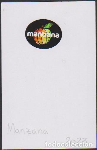Sammlung von Aufklebern: pegatina fruta MANZANA MANTIANA adhesivo adhesiu enganxina fruit etiqueta