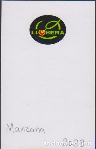 Sammlung von Aufklebern: pegatina fruta MANZANA LLOBERA adhesivo adhesiu enganxina fruit etiqueta