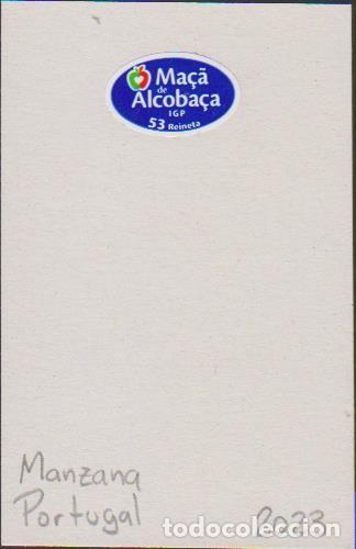 Sammlung von Aufklebern: pegatina fruta MANZANA MA&Ccedil;A DE ALCOBA&Ccedil;A adhesivo adhesiu enganxina fruit etiqueta