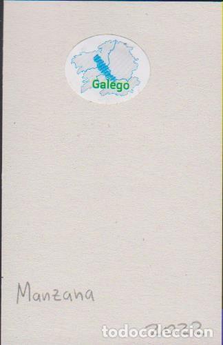 Sammlung von Aufklebern: pegatina fruta MANZANA GALEGO adhesivo adhesiu enganxina fruit etiqueta