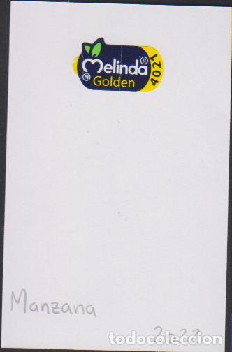 Sammlung von Aufklebern: pegatina fruta MANZANA MELINDA GOLDEN adhesivo adhesiu enganxina fruit etiqueta