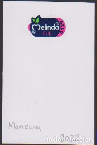 Sammlung von Aufklebern: pegatina fruta MANZANA MELINDA FUJI adhesivo adhesiu enganxina fruit etiqueta