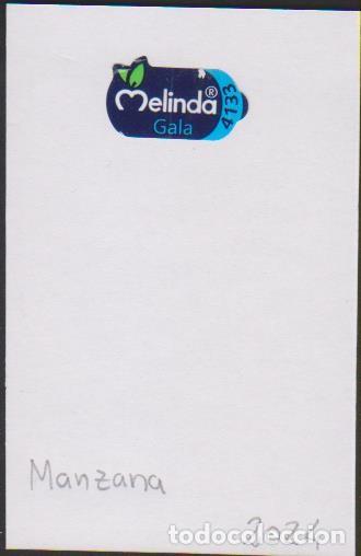 Sammlung von Aufklebern: pegatina fruta MANZANA MELINDA GALA adhesivo adhesiu enganxina fruit etiqueta