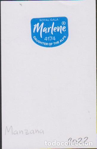 Sammlung von Aufklebern: pegatina fruta MANZANA MARLENE ROYAL GALA adhesivo adhesiu enganxina fruit etiqueta
