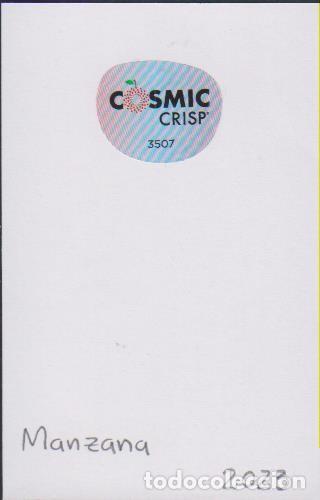 Sammlung von Aufklebern: pegatina fruta MANZANA COSMIC CRISP adhesivo adhesiu enganxina fruit etiqueta
