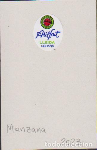 Sammlung von Aufklebern: pegatina fruta MANZANA ARILFRUT LLEIDA ESPA&Ntilde;A adhesivo adhesiu enganxina fruit etiqueta