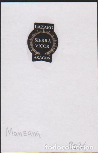 Sammlung von Aufklebern: pegatina fruta LAZARO SIERRA VICOR ARAGON adhesivo adhesiu enganxina fruit etiqueta