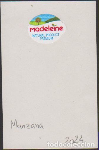 Sammlung von Aufklebern: pegatina fruta MANZANA MADELEINE adhesivo adhesiu enganxina fruit etiqueta