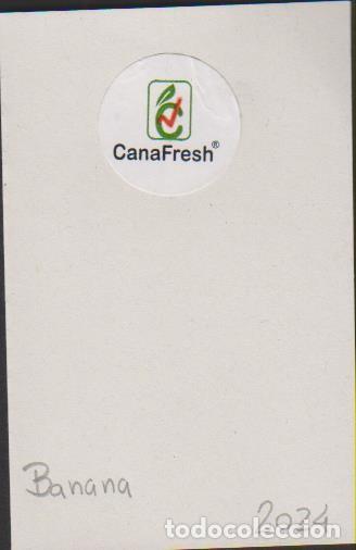 Sammlung von Aufklebern: pegatina fruta BANANA CANA FRESH adhesivo adhesiu enganxina fruit etiqueta
