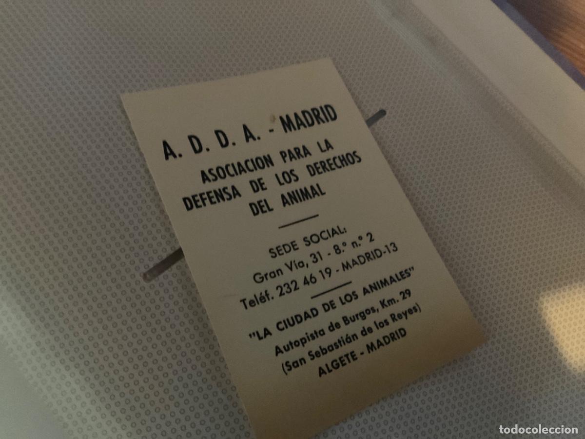 Pegatinas de colecci&oacute;n: Carnet socio a.d.d.a. Adda asociacion para la defensa de los derechos del animal
