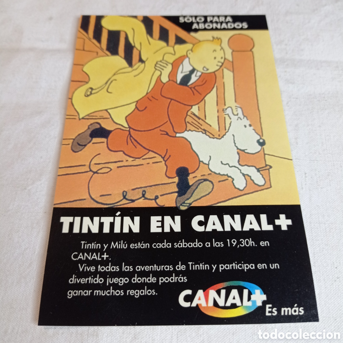 Pegatinas de colecci&oacute;n: PEGATINA TINTIN EN CANAL +