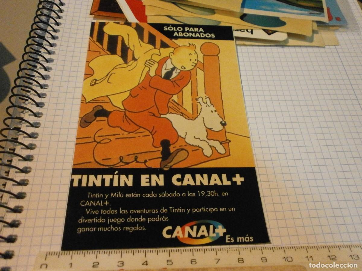 Pegatinas de colecci&oacute;n: pegatina tintin en canal +