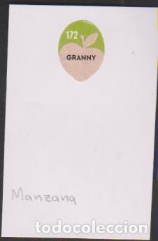 Sammlung von Aufklebern: pegatina fruta MANZANA GRANNY adhesivo adhesiu enganxina fruit etiqueta