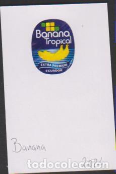 Sammlung von Aufklebern: pegatina fruta BANANA TROPICAL adhesivo adhesiu enganxina fruit etiqueta SOY.YO