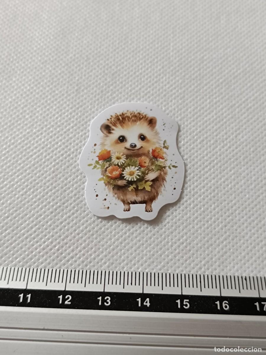 Autocolantes de cole&ccedil;&atilde;o: BONITA PEGATINA, STICKER, ENCANTADOR ERIZO PARA SCRAPBOOKING, MANUALIDADES, KAWAII N&Uacute;MERO 3