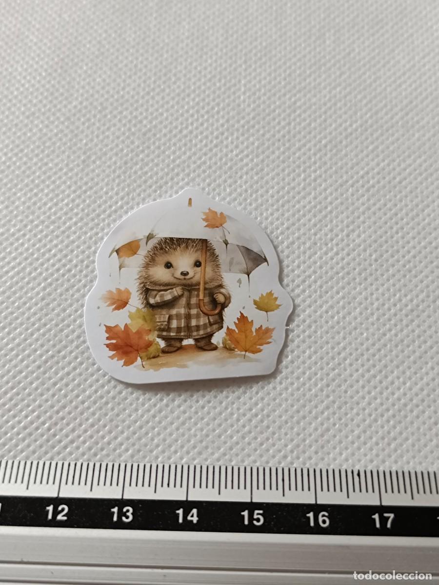 Pegatinas de colecci&oacute;n: BONITA PEGATINA, STICKER, ENCANTADOR ERIZO PARA SCRAPBOOKING, MANUALIDADES, KAWAII N&Uacute;MERO 6