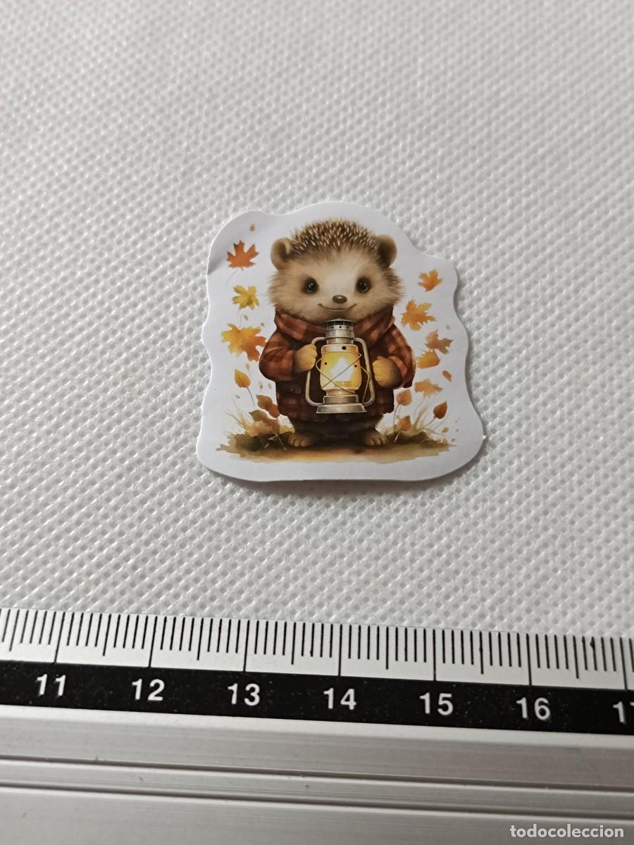 Autocolantes de cole&ccedil;&atilde;o: BONITA PEGATINA, STICKER, ENCANTADOR ERIZO PARA SCRAPBOOKING, MANUALIDADES, KAWAII N&Uacute;MERO 9