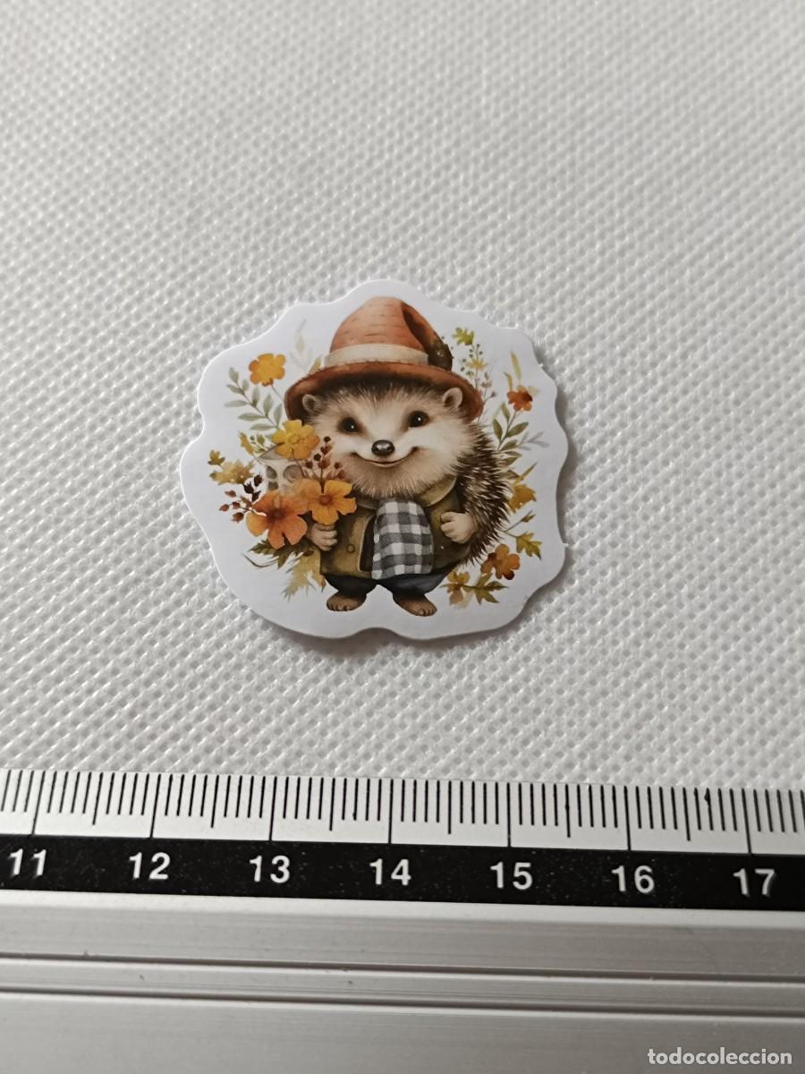 Pegatinas de colecci&oacute;n: BONITA PEGATINA, STICKER, ENCANTADOR ERIZO PARA SCRAPBOOKING, MANUALIDADES, KAWAII N&Uacute;MERO 10