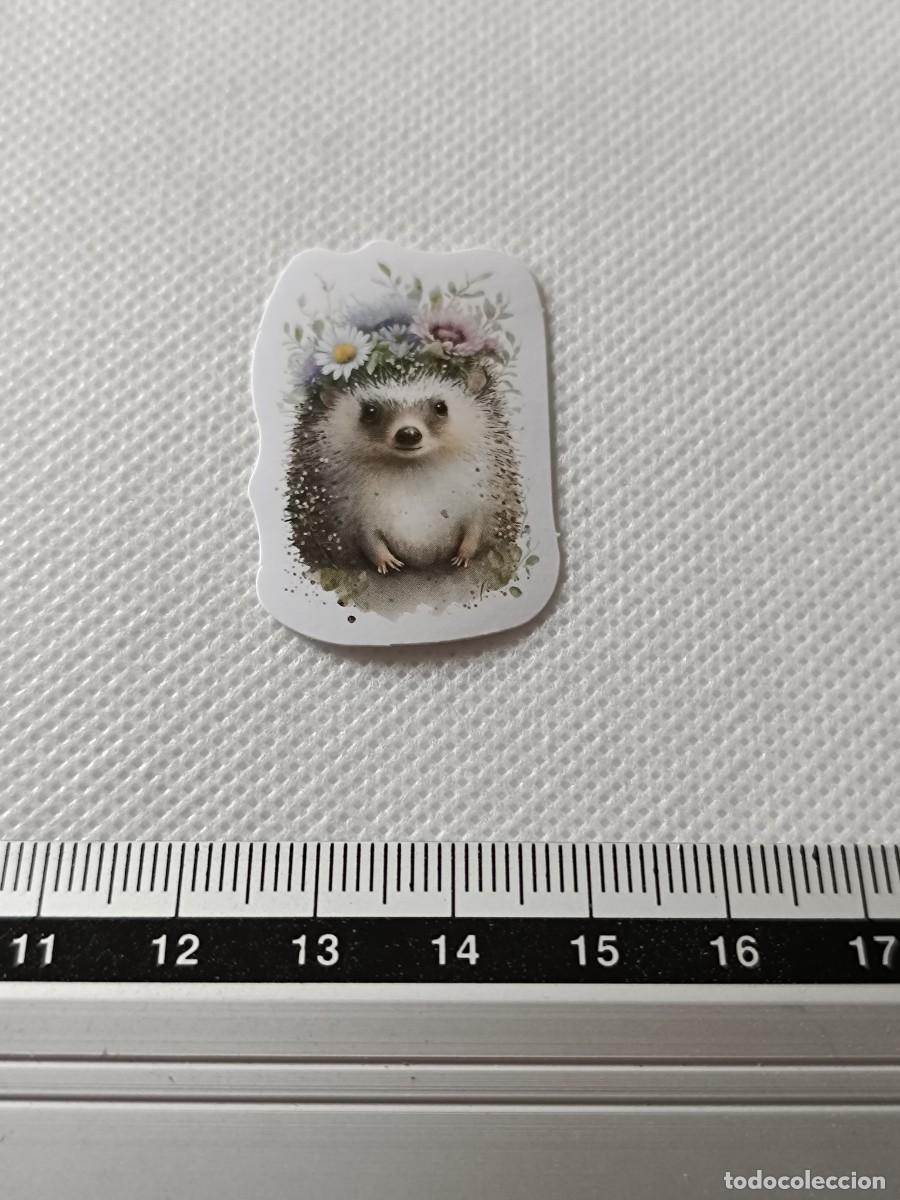Pegatinas de colecci&oacute;n: BONITA PEGATINA, STICKER, ENCANTADOR ERIZO PARA SCRAPBOOKING, MANUALIDADES, KAWAII N&Uacute;MERO 14