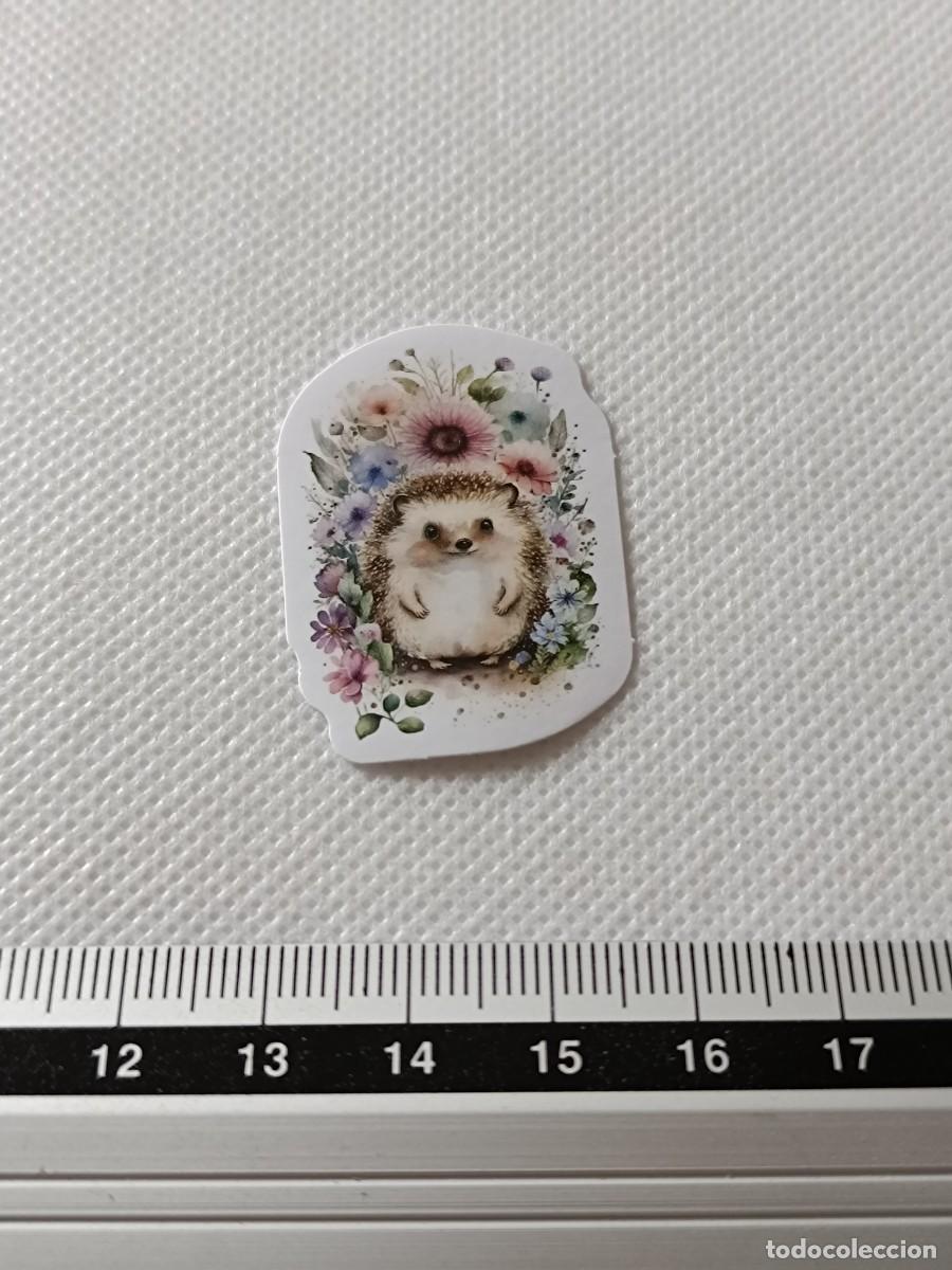 Autocolantes de cole&ccedil;&atilde;o: BONITA PEGATINA, STICKER, ENCANTADOR ERIZO PARA SCRAPBOOKING, MANUALIDADES, KAWAII N&Uacute;MERO 15